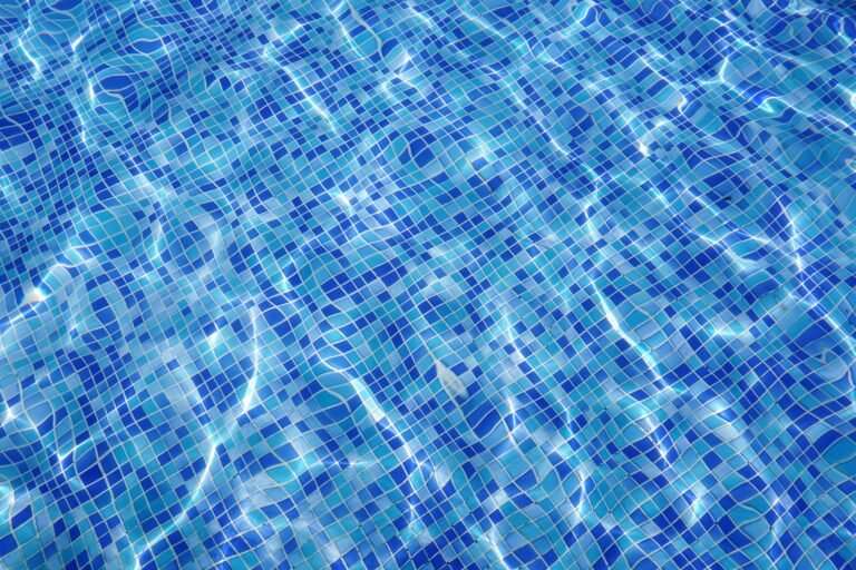 thegraphicman pool 7711250